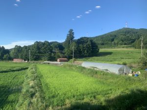 奈良の田舎暮らし